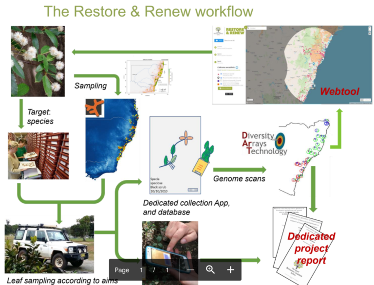 Restore and renew workflow
