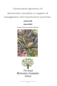 Report cover page for Astrotricha crassifolia conservation genomics report by ReCER