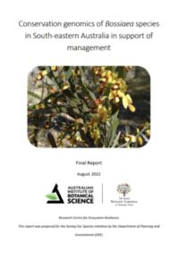 Report cover page for Bossiaea species conservation genomics report by ReCER