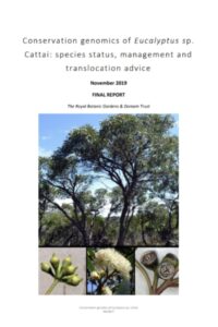 Report cover page for Eucalyptus sp Cattai conservation genomics report by ReCER