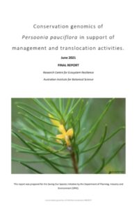 Report cover page for Persoonia pauciflora conservation genomics report by ReCER