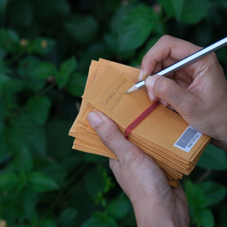 Labelling a collection envelope with the words lantana camara